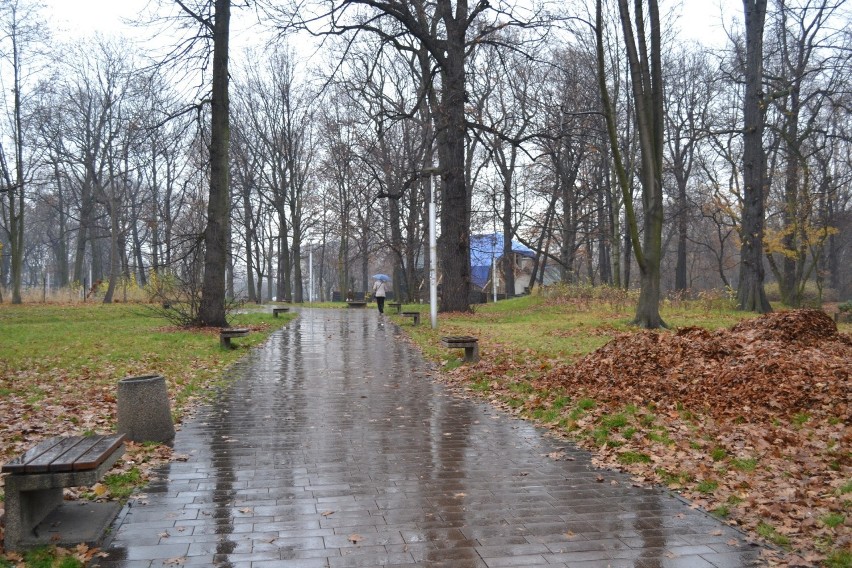 Jesienny spacer po Parku Zamkowym