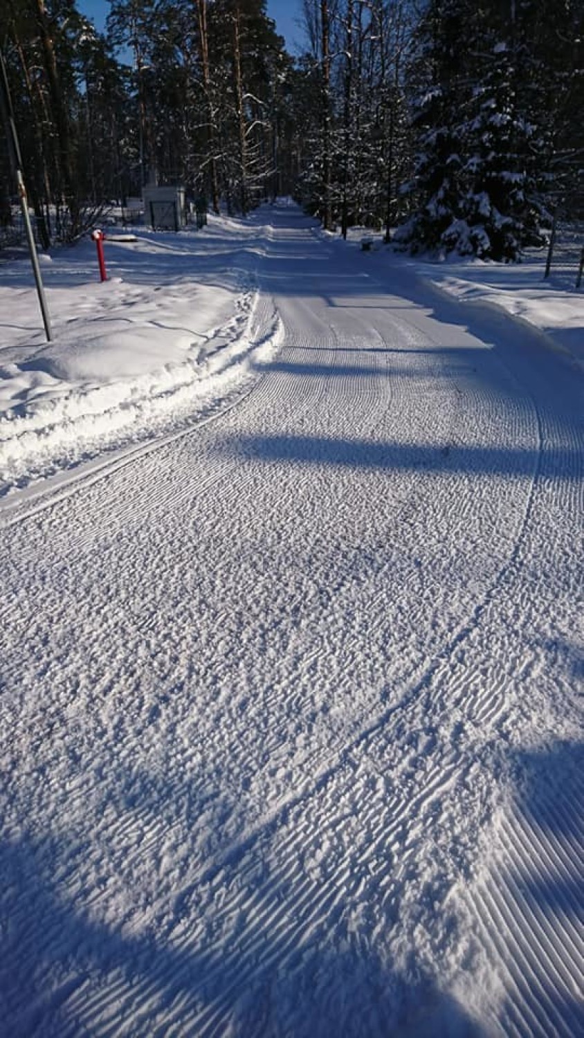 Trasy narciarskie w Puszczy Augustowskiej są już gotowe. Start 12.02.2021 [Zdjęcia]