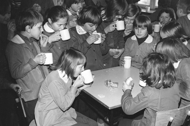 Uczniowie piją mleko podczas posiłku w 1978 roku. Kliknij w obrazek i przesuwaj strzałkami, aby zobaczyć więcej zdjęć z PRL-u.