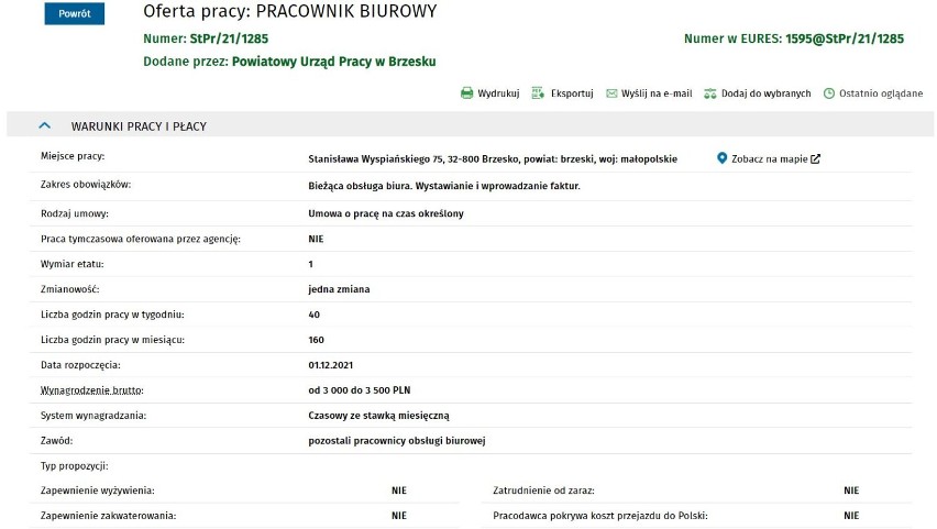 Brzesko. Najnowsze oferty pracy w Brzesku i powiecie brzeskim [LISTA OFERT PRACY 25.11.2021]