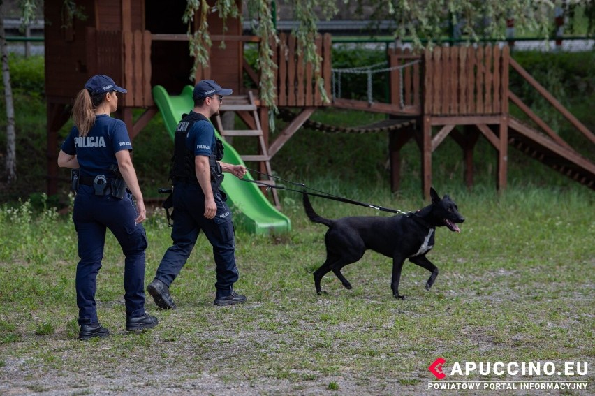 Akcja poszukiwawcza w rejonie zapory na Jeziorze Czchowskim...