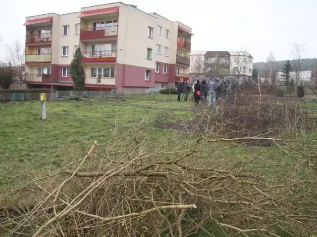 W tym miejscu dwa tygodnie temu były drzewa i działki pielęgnowane przez mieszkańców.