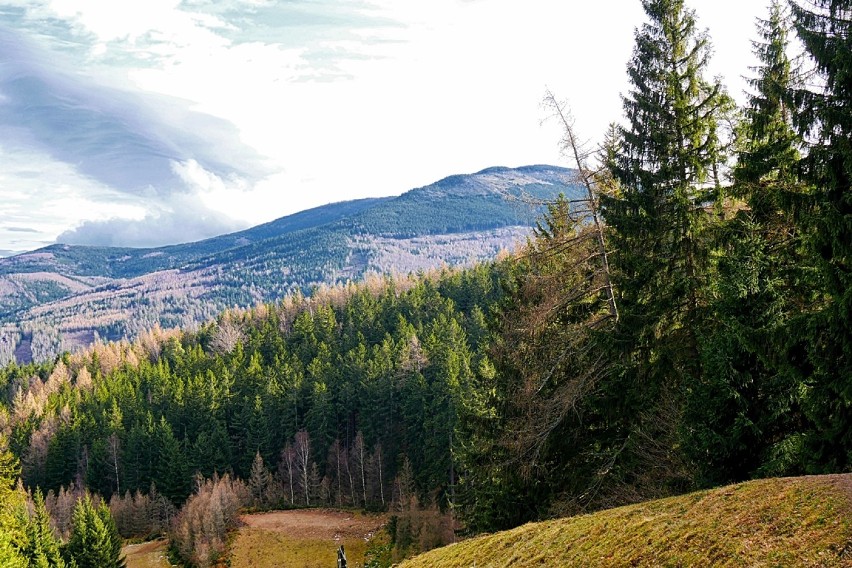 Skocznia Orlinek w Karpaczu. Punkt widokowy [ZDJĘCIA, FILMY]