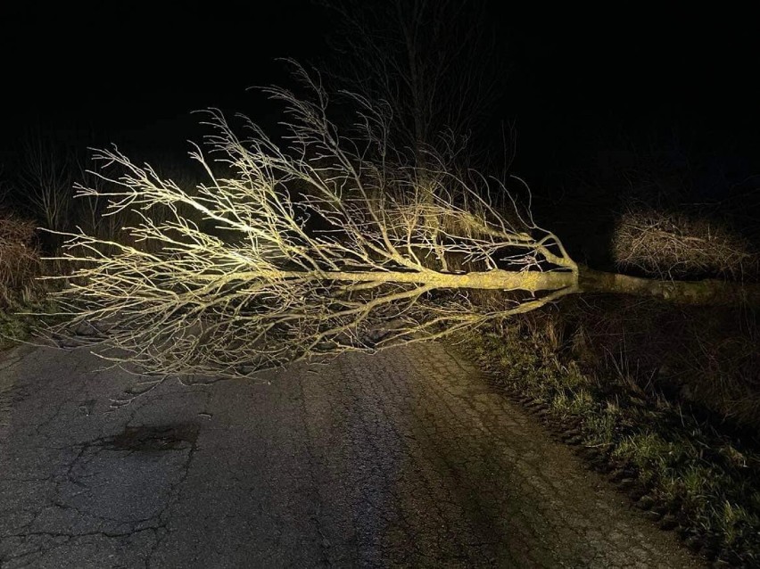 Niż Eunice w Grudziądzu i regionie. Wiatr wyrządza wiele...