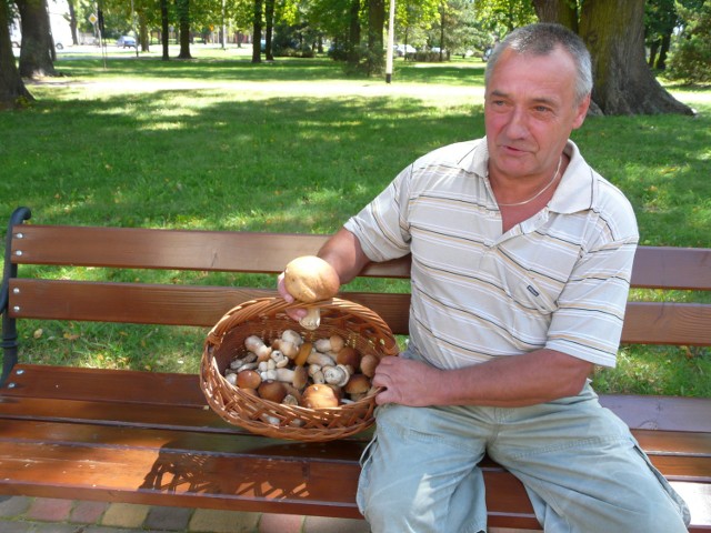 Mieczysław Kacperczyk ze Zduńskiej Woli uzbierał ponad 2 kilogramy pięknych i zdrowych grzybów. Znalazł je w lesie Paprockim