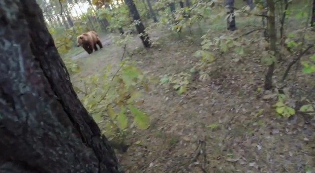 Wybrał się na rower. Nie zgadniecie, kogo spotkał w lesie [wideo]