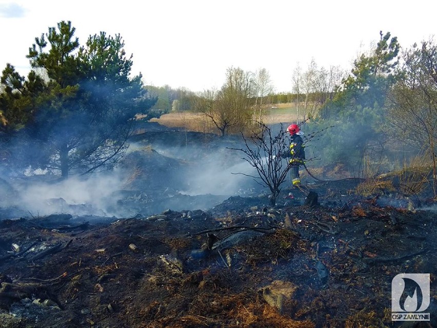 Duży pożar traw przy drodze Bór Zapilski - Piła [ZDJĘCIA]