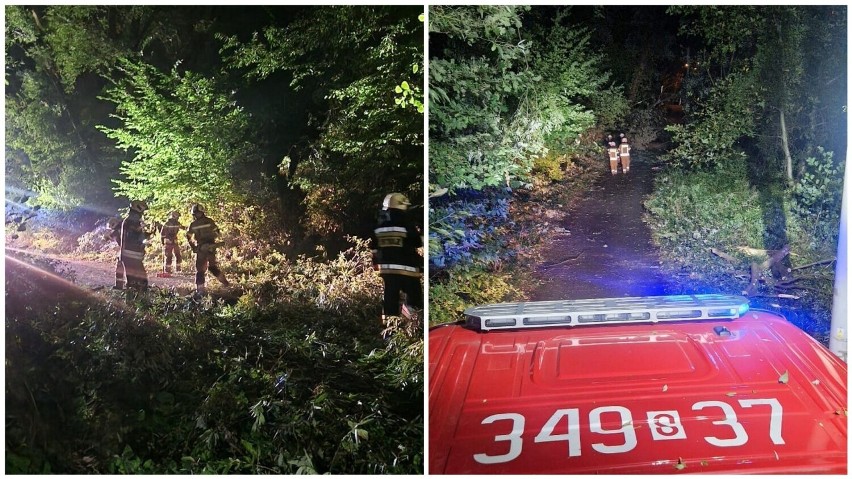 Strażacy OSP Straconka w Bielsku-Białej usuwali drzewo,...