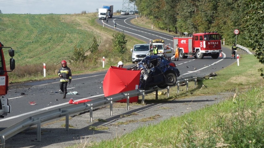 Śmiertelny wypadek między Pisarzowicami, a Nową Karczmą! Zginęła kobieta z powiatu zgorzeleckiego [ZDJĘCIA] 