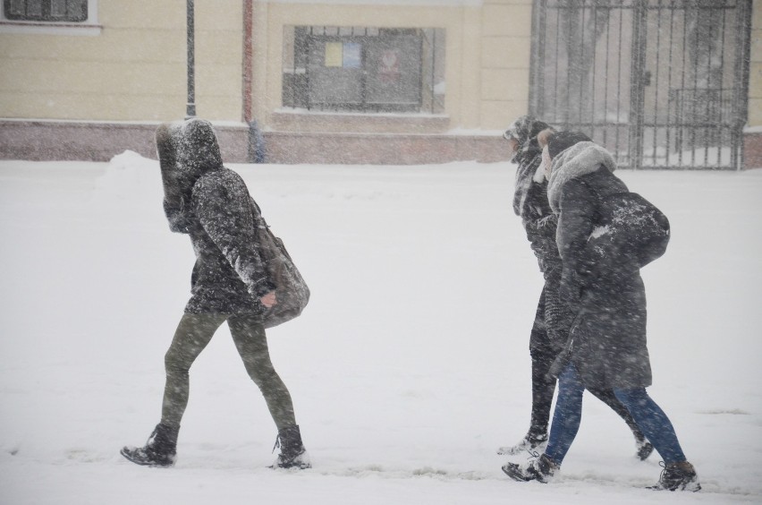 Ależ śnieżyca w Białymstoku! Oto prawdziwa zimę (dużo zdjęć) 