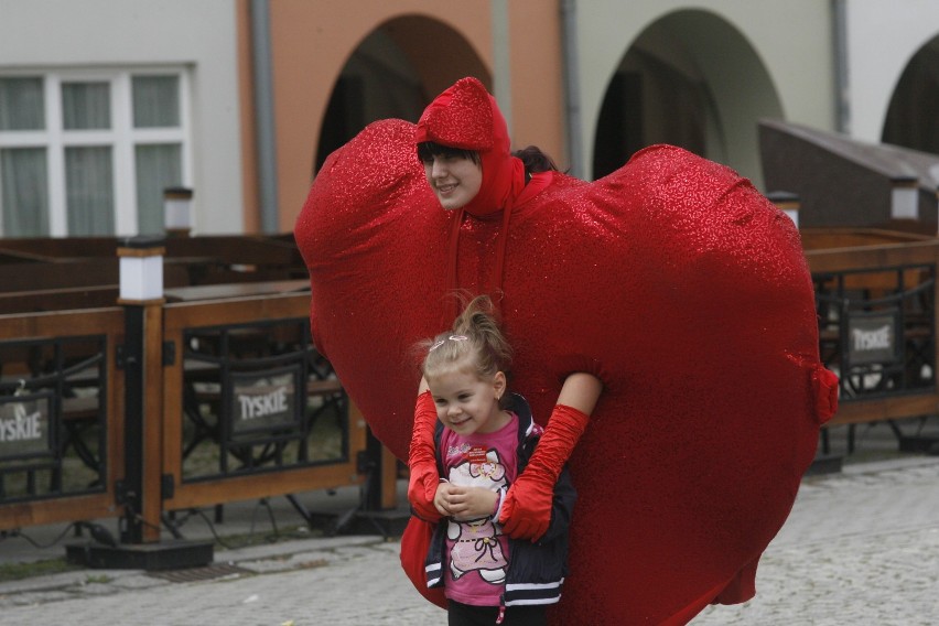 dzień dawcy szpiku