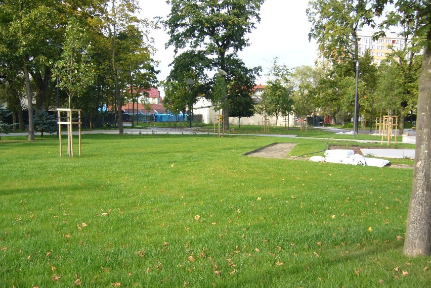 Polkowicki park zmienia oblicze (zdjęcia)
