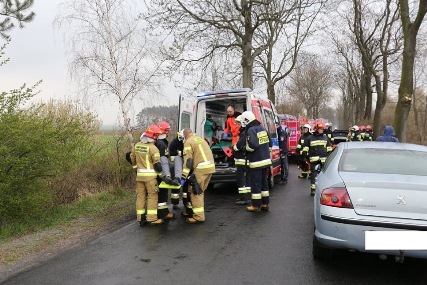 GROŹNY WYPADEK: Dwie osoby ranne w wyniku uderzenia autem w drzewo pod Baszkowem [ZDJĘCIA]