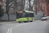 Nowe autobusy na ulicach Tarnowa i podtarnowskich gmin. Przejęły kursy, które wcześniej poza miasto wykonywało MPK