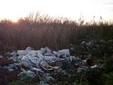Dzikie wysypiska śmieci w Żarnowcu: Gmina je posprząta [ZDJĘCIA]