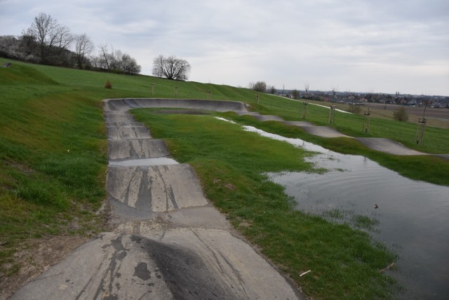 Park biegowy marcinka - artykuły | Tarnów Nasze Miasto