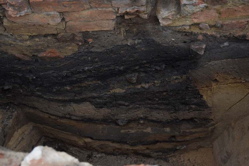 Archeolodzy w Gorzowie odkryli kolejne skarby