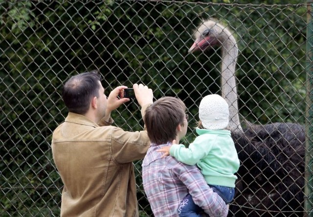 Więcej zapłacimy za bilety do Ogrodu Zoologicznego w Poznaniu