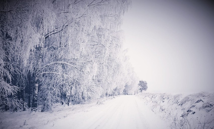 Zimowe zdjęcia Tucholi i nie tylko w Waszym obiektywie. Niesamowite widoki [galeria]