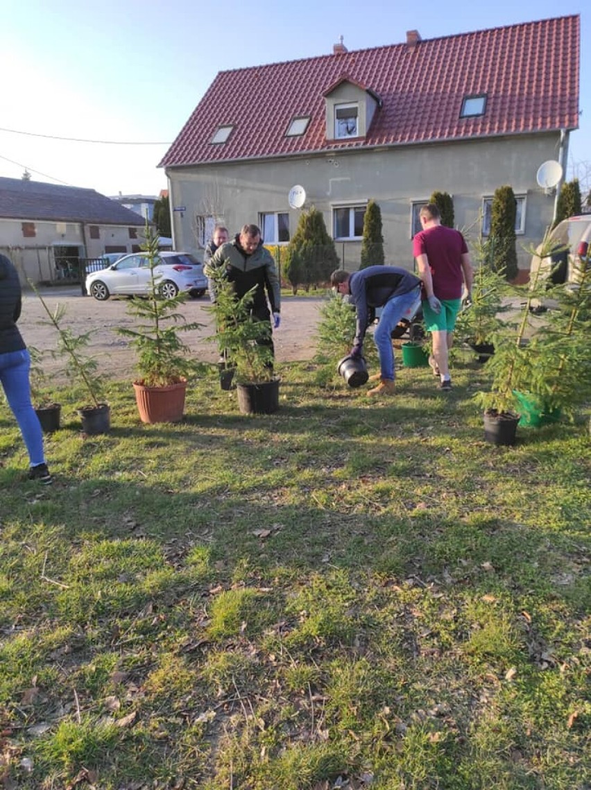 Zbąszyń. Plac zabaw przy "Skwerku pod Morwami" na ulicy...