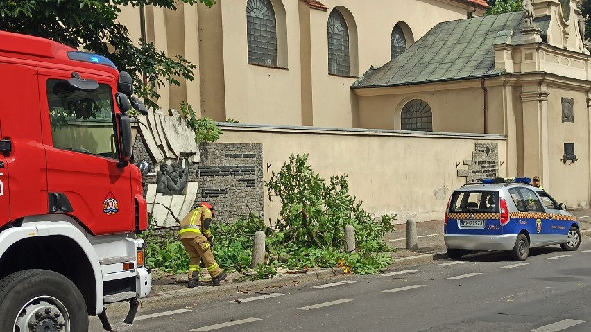 Kalisz: Duży konar drzewa runął na chodnik przy ulicy...