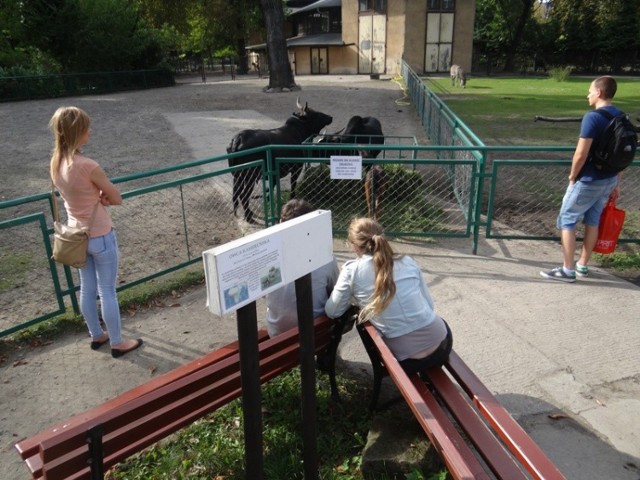 Stare Zoo Poznań