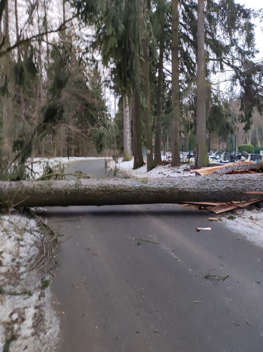 Orkan Nadia pustoszy region i Dolny Śląsk