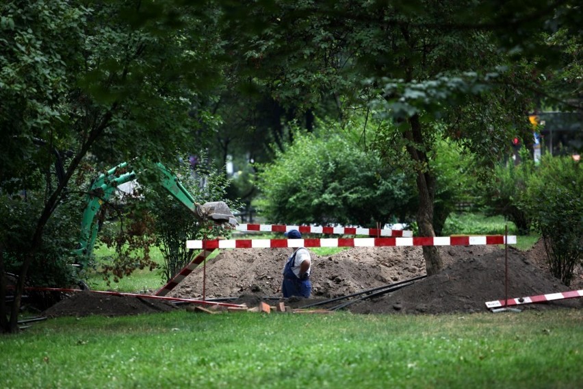 Kraków: rozkopali Planty, ale oszczędzą drzewa i krzewy [ZDJĘCIA]
