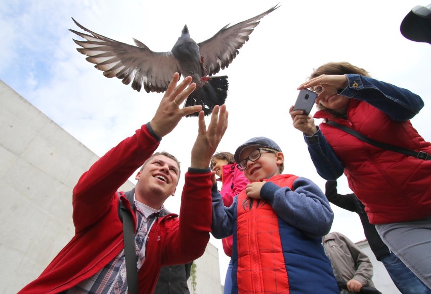 Żołnierska grochówka oraz 100 gołębi na Święto Kielc [WIDEO, zdjęcia]
