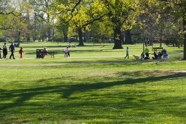 Polana Angielska to doskonałe miejsce na piknik blisko centrum miasta. Często można tu spotkać wylegujące się grupki legniczan na trawie.