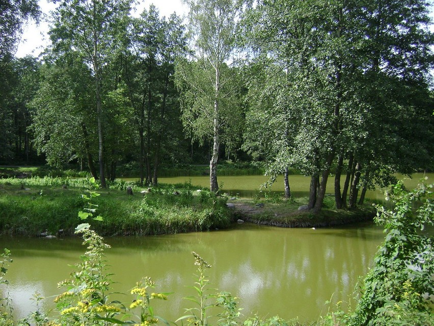 Obejmuje kompleks Lasów Chojnowskich, dolny odcinek rzeki...