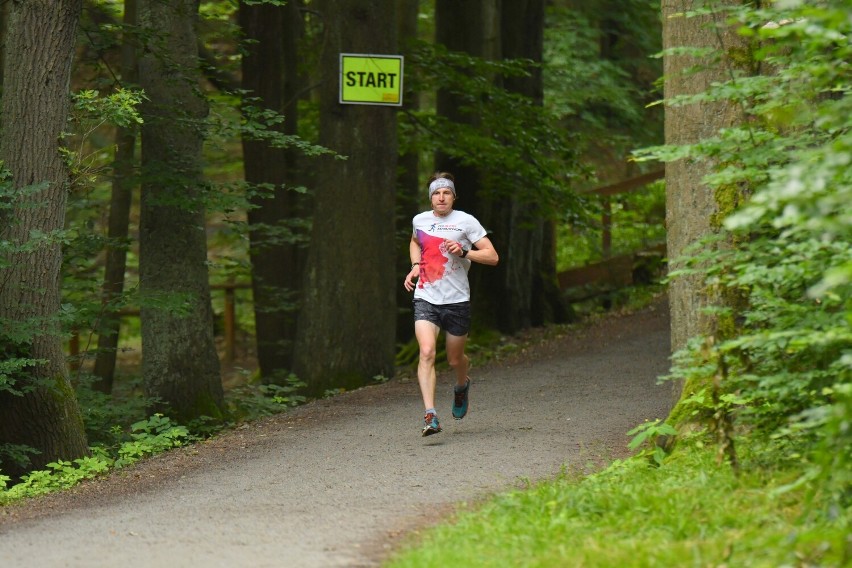 Pierwszy wakacyjny Parkrun Żary za nami. Coraz więcej biegaczy bierze udział w żarskim biegu po Zielonym Lesie