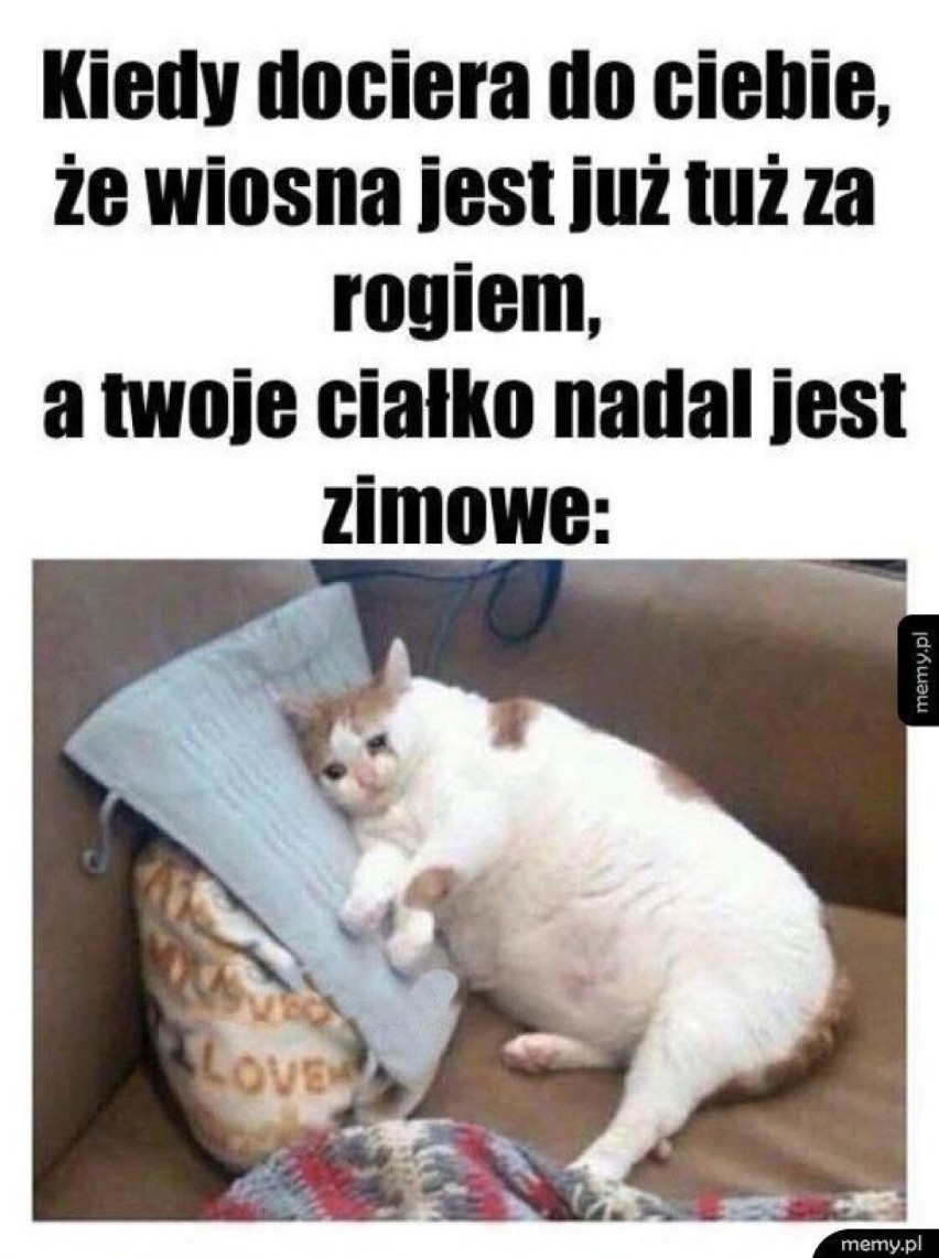 Już wiosna, a za oknem... szkoda gadać! Zobacz te zabawne MEMY o wiosennej aurze!