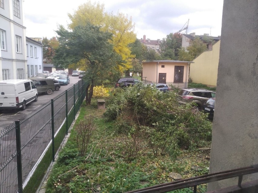 Mieszkanka Kielc skarży się na wycinkę zieleni pod jej oknem. Co na to spółdzielnia?