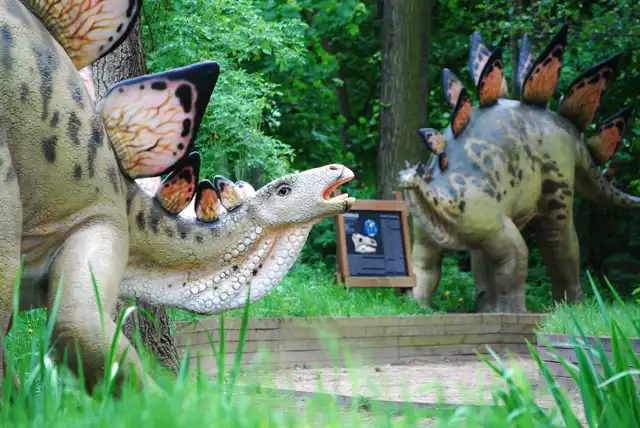 Rogowo, Zaurolandia

Na głównym dziedzińcu znajduje się największy budynek w parku. Mieści się w nim Muzeum Paleontologiczne. W muzeum prezentowana jest wystawa skamieniałości z różnych epok geologicznych. Ekspozycja przybliża zwiedzającym zamierzchły świat zwierząt i roślin, królujących na Ziemi wiele milionów lat temu.

Na wystawie można obejrzeć skamieniałości ślimaków, trylobitów, koralowców, stawonogów, kości ryb pancernych, belemitów i jeżowców. Oprócz okazów schowanych za szkłem prezentowane są eksponaty, które można wziąć do ręki, czy choćby dotknąć: skamieniałe pnie drzew trzeciorzędowych, kości ssaków epoki lodowcowej, tropy jurajskich dinozaurów, muszle amonitów.