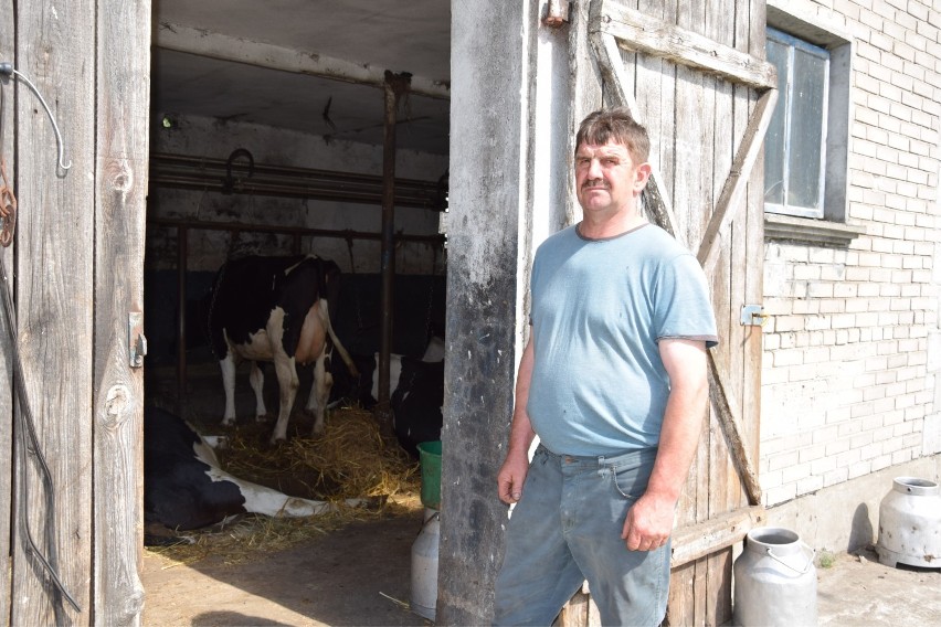 Podczas wichury w gminie Piątek padły krowy porażone prądem