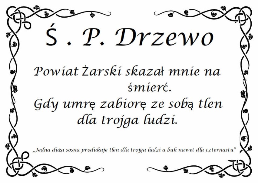 Na drzewach przy ulicy Artylerzystów w Żarach pojawiły się...