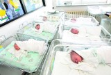 Urodzeni w Sztumie: Niewielki wzrost liczby urodzeń w Sztumie