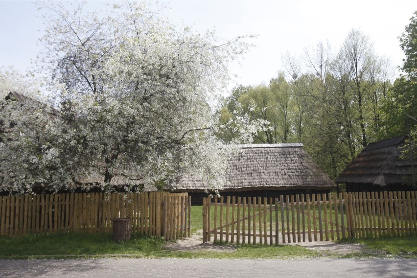 Park Śląsk w Katowicach kojarzy się z licznymi atrakcjami....