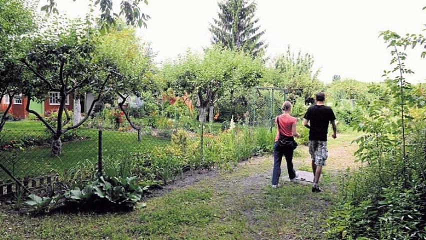 Gorlice. W czasie pandemii ogródki działkowe to już nie tylko skansen dla emerytów, coraz więcej tam młodych rodzin i dzieci