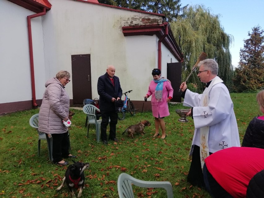 W niedzielę nabożeństwo z udziałem zwierząt w Manowie. Mile widziane psy, koty i nie tylko