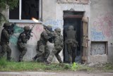 NATO-wska grupa bojowa i polscy żołnierze dali pokaz swoich możliwości. Ćwiczenia wojskowe w starej mleczarni oglądał sam minister