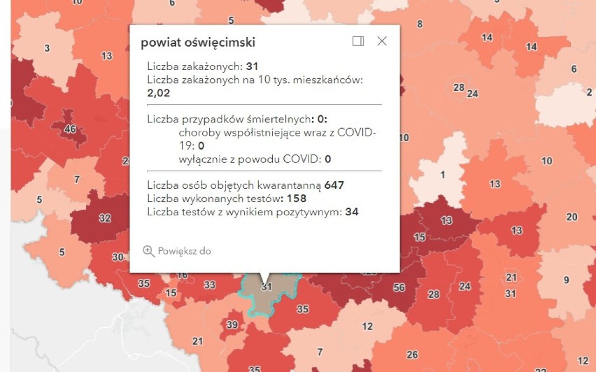 Koronawirus, raport 10 stycznia 2022. W Polsce ponad 7 tys. zakażeń SARS CoV-2. W zachodniej Małopolsce ponad sto