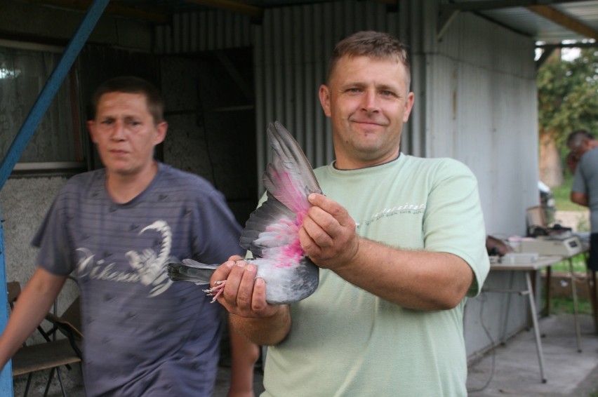 Hodowcy gołębi pocztowych z Radziejowa zakończyli sezon lotów sportowych dla gołębi dorosłych