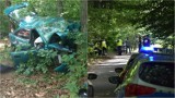 Tarnów. Tragiczny finał policyjnego pościgu w Lasku Lipie. Uciekający mazdą rozbił się o drzewo. 27-latek nie żyje [ZDJĘCIA]