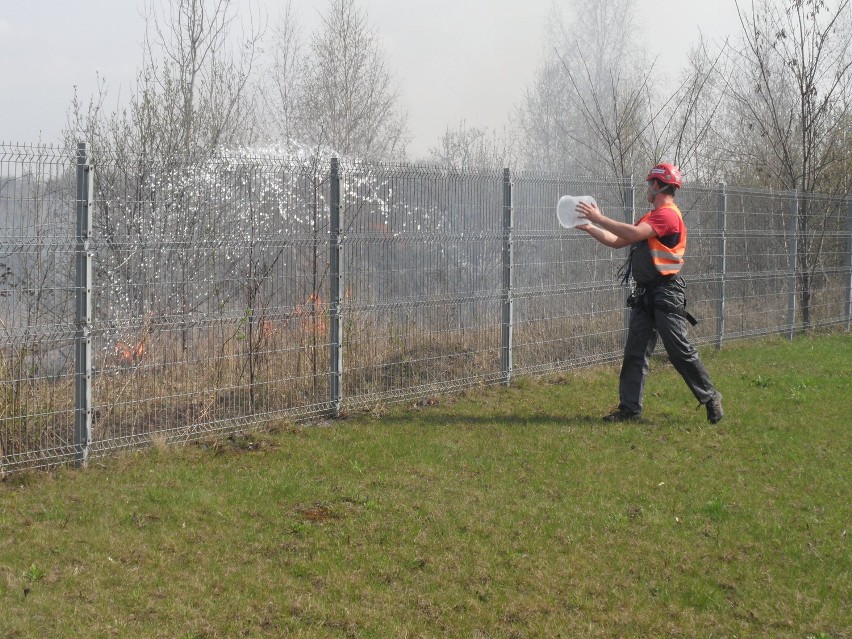Sosnowiec: Pożar traw w Milowicach. Gasiliśmy ogień wspólnie ze strażakami [WIDEO,ZDJĘCIA]