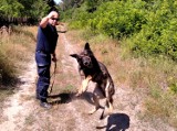 Szkolenie psów policyjnych w Piotrkowie ZDJĘCIA