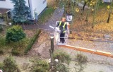 Leszczyńska Spółdzielnia Mieszkaniowa chce wyciąć kolejnych 50 drzew na osiedlu Przyjaźni
