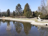 Park Śląski. Podpisano umowę na modernizację Ogrodu Bylinowego