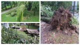 Woj. lubelskie: „Wiatr wyrwał drzewo i przeniósł je 20 metrów dalej”. Dantejskie sceny po nawałnicy w Lublinie. Zobacz zdjęcia Czytelników